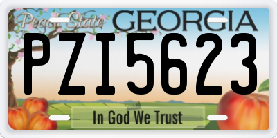 GA license plate PZI5623