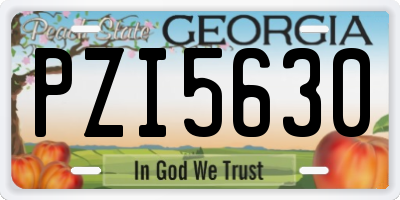 GA license plate PZI5630