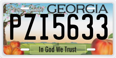 GA license plate PZI5633