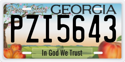 GA license plate PZI5643