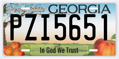GA license plate PZI5651