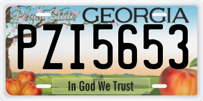 GA license plate PZI5653