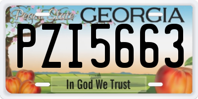 GA license plate PZI5663