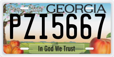 GA license plate PZI5667
