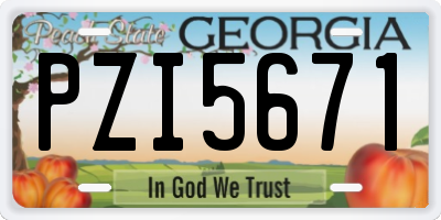 GA license plate PZI5671