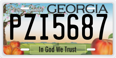 GA license plate PZI5687