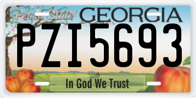 GA license plate PZI5693