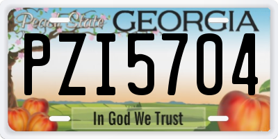 GA license plate PZI5704