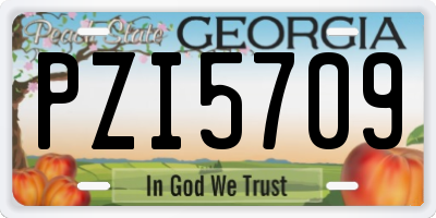 GA license plate PZI5709