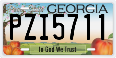GA license plate PZI5711