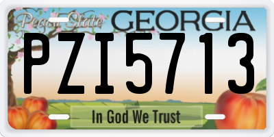 GA license plate PZI5713