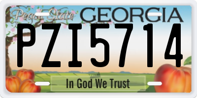 GA license plate PZI5714