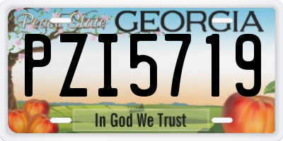 GA license plate PZI5719