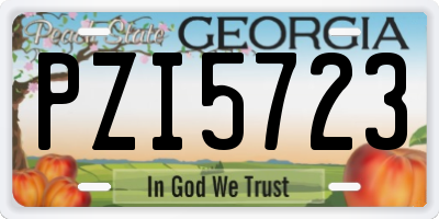 GA license plate PZI5723