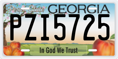 GA license plate PZI5725