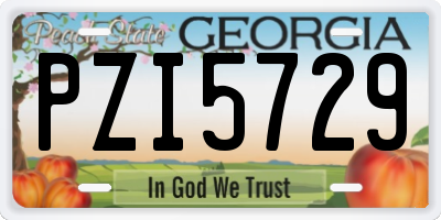 GA license plate PZI5729