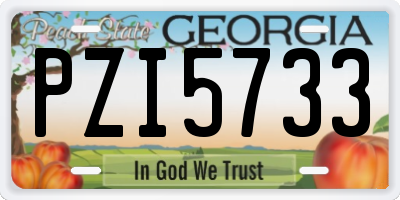 GA license plate PZI5733