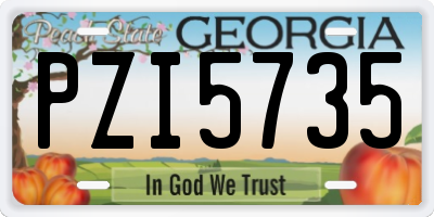 GA license plate PZI5735