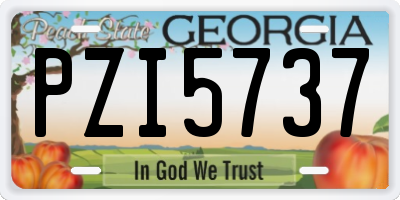 GA license plate PZI5737
