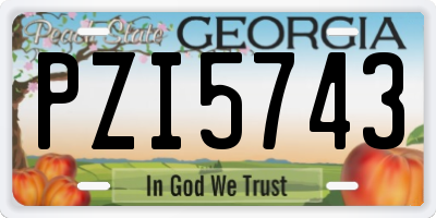 GA license plate PZI5743