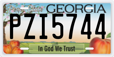 GA license plate PZI5744
