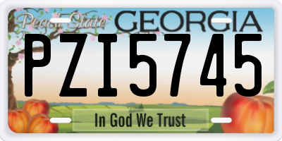 GA license plate PZI5745