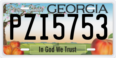 GA license plate PZI5753