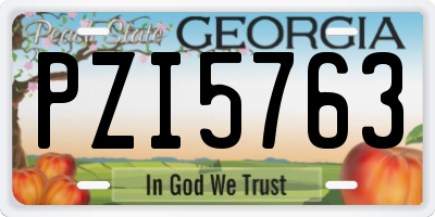 GA license plate PZI5763