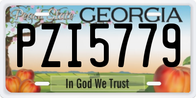 GA license plate PZI5779