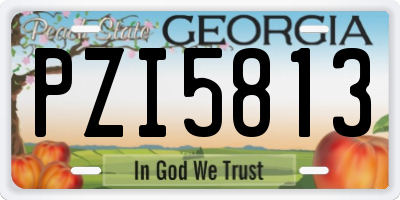 GA license plate PZI5813
