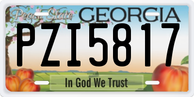 GA license plate PZI5817