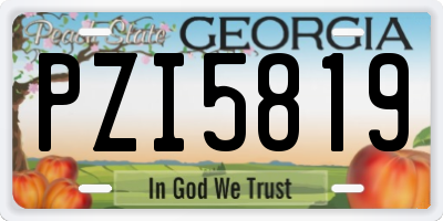 GA license plate PZI5819