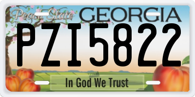 GA license plate PZI5822