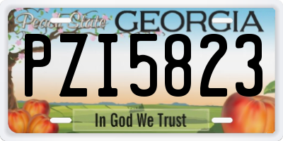 GA license plate PZI5823