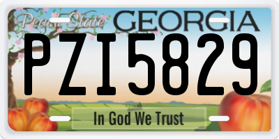 GA license plate PZI5829
