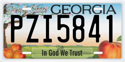 GA license plate PZI5841