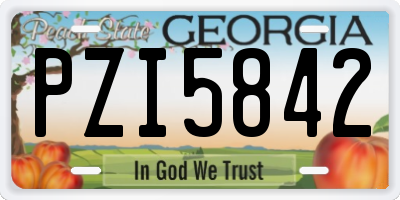 GA license plate PZI5842