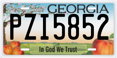 GA license plate PZI5852