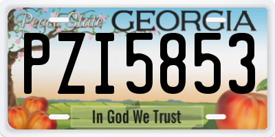GA license plate PZI5853