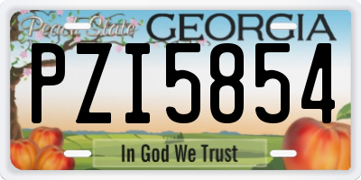 GA license plate PZI5854