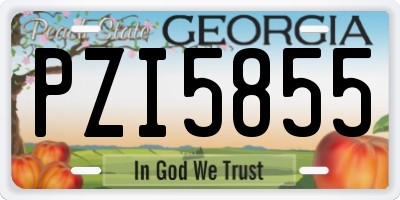 GA license plate PZI5855