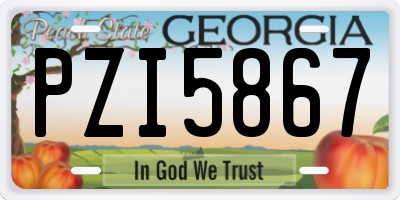 GA license plate PZI5867
