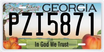 GA license plate PZI5871