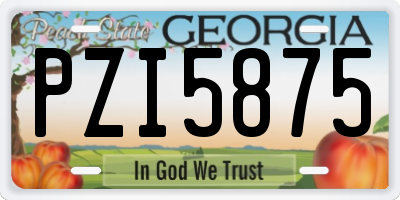 GA license plate PZI5875