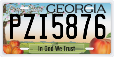 GA license plate PZI5876