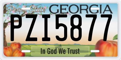 GA license plate PZI5877