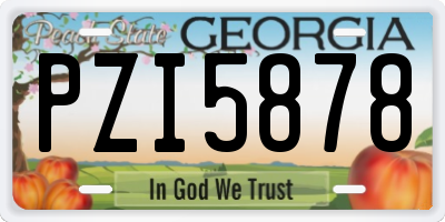 GA license plate PZI5878