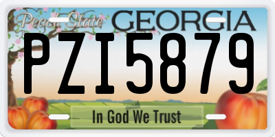 GA license plate PZI5879