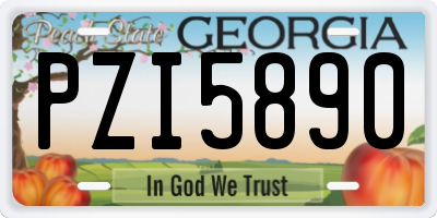 GA license plate PZI5890
