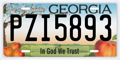 GA license plate PZI5893